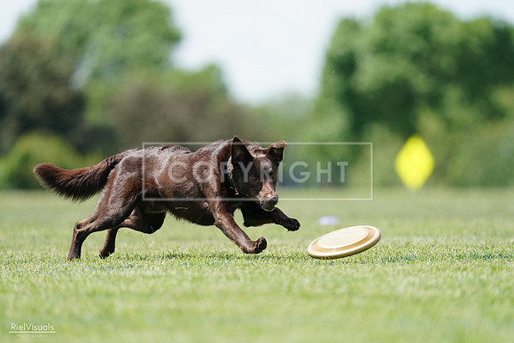 RielVisuals_20240525_120823_SJR08815