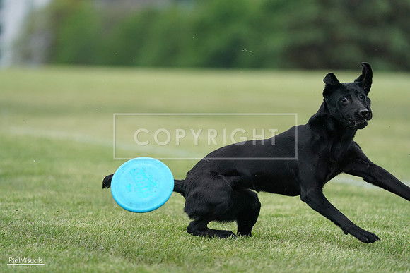 RielVisuals_20240525_170458_SJR06028