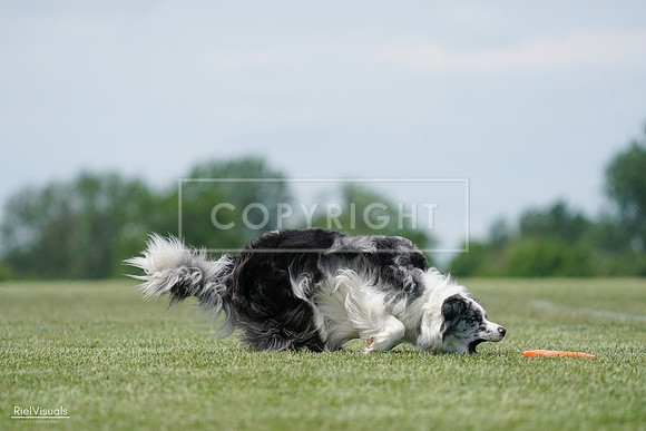 RielVisuals_20240525_123600_SJR00515