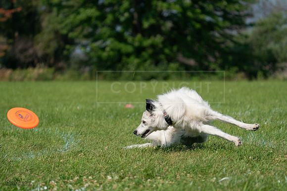 RielVisuals_20240728_102835_SJR08191