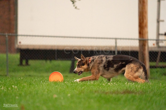 RielVisuals_20240722_203349_SJR04000