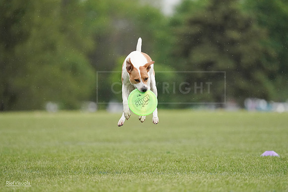RielVisuals_20240526_092004_SJR09632