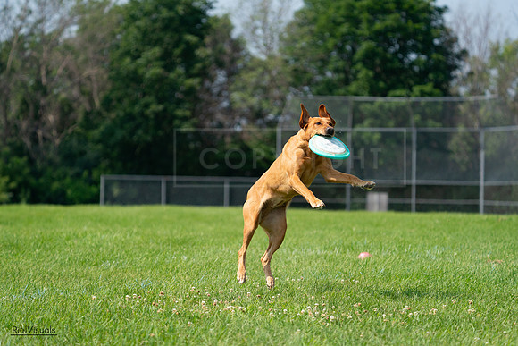 RielVisuals_20240728_103953_SJR08800