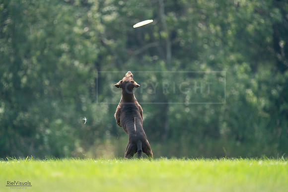 RielVisuals_20240727_123415_SJR05921