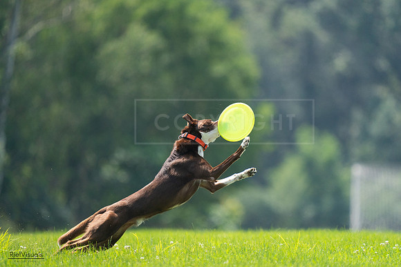 RielVisuals_20240727_123242_SJR05821