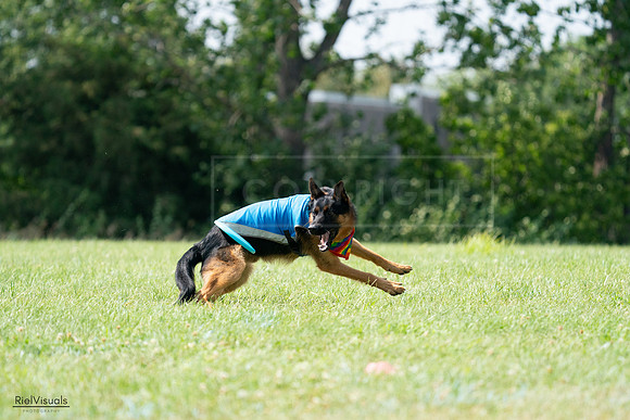 RielVisuals_20240728_150434_SJR00052