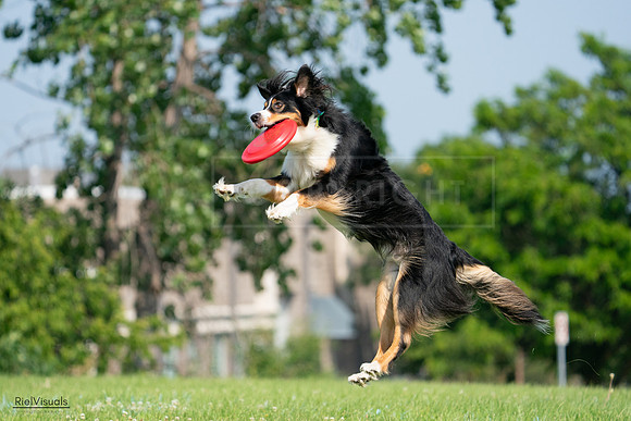 RielVisuals_20240728_101750_SJR07676