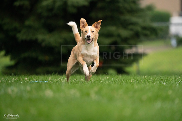 RielVisuals_20240722_191153_SJR00272