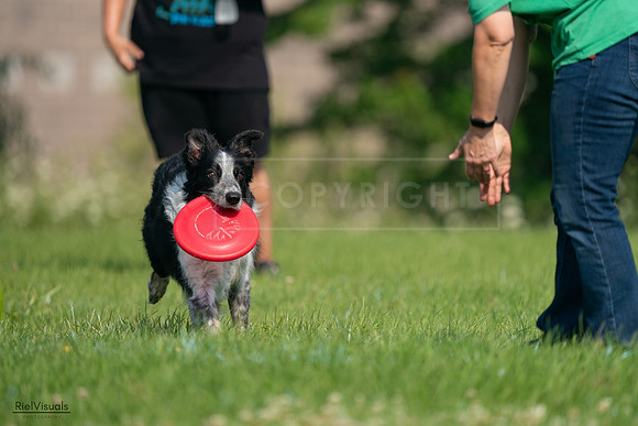 RielVisuals_20240727_100030_SJR08243