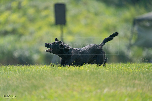 RielVisuals_20240727_121738_SJR05182