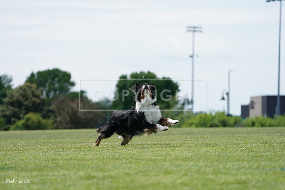 RielVisuals_20240525_122840_SJR09962