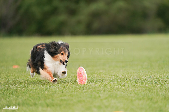 RielVisuals_20240527_140925_SJR01647