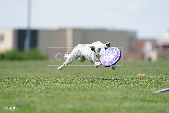 RielVisuals_20240525_120327_SJR08474