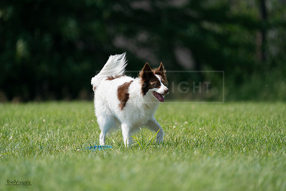 RielVisuals_20240728_145343_SJR09468