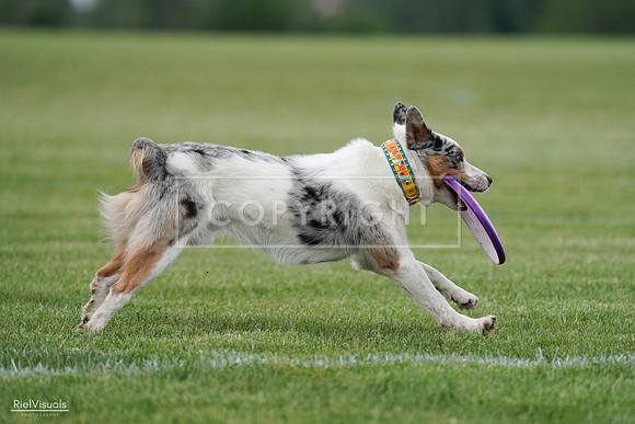 RielVisuals_20240525_165226_SJR05660