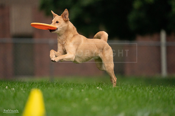 RielVisuals_20240722_191552_SJR00326