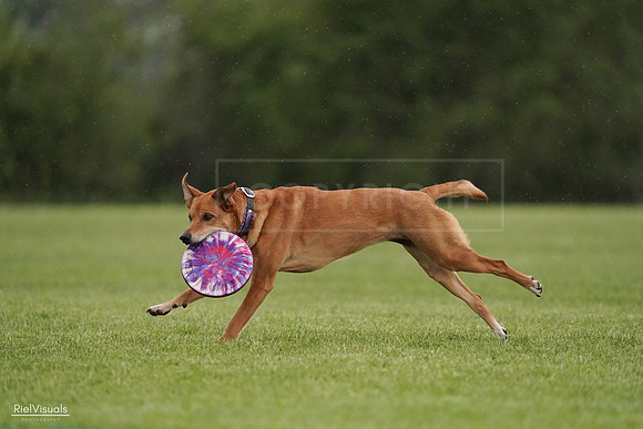 RielVisuals_20240526_093732_SJR00634
