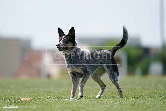 RielVisuals_20240525_122307_SJR09680