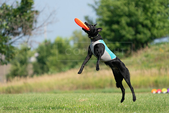 RielVisuals_20240728_100751_SJR07275