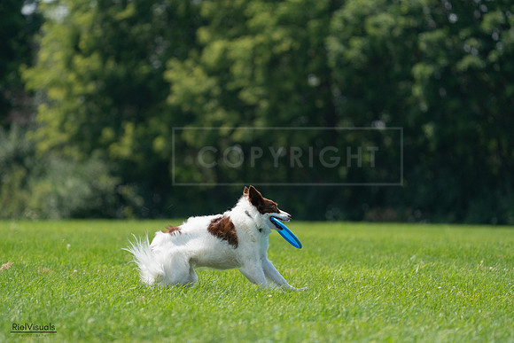 RielVisuals_20240728_134238_SJR06933