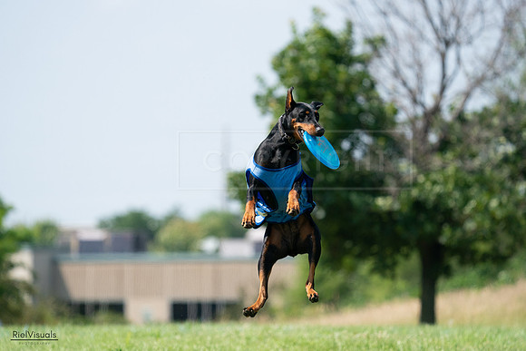 RielVisuals_20240728_145907_SJR09792