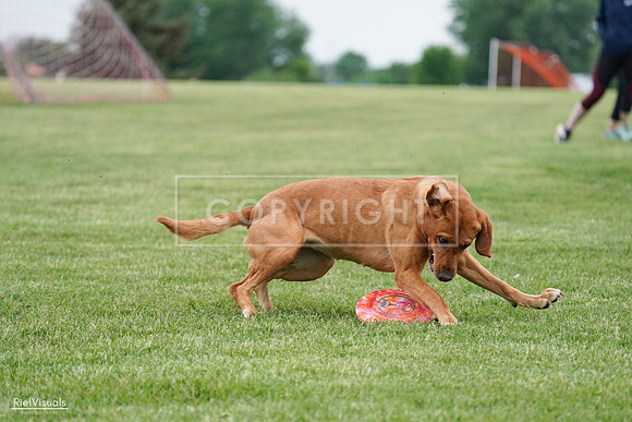 RielVisuals_20240525_165902_SJR05762