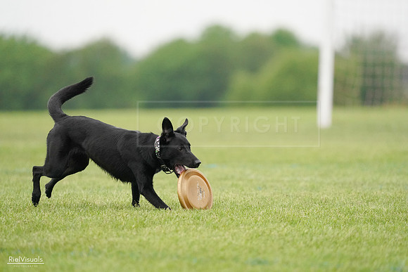 RielVisuals_20240527_110339_SJR02750