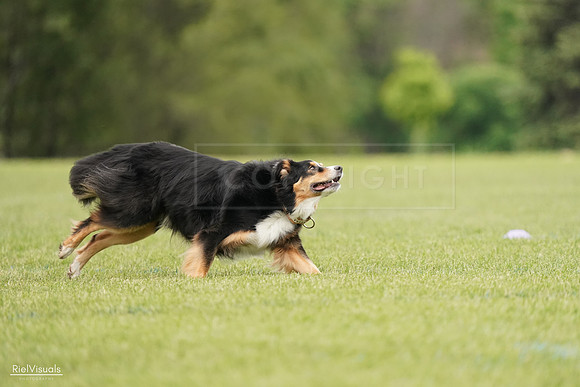 RielVisuals_20240527_133246_SJR00196
