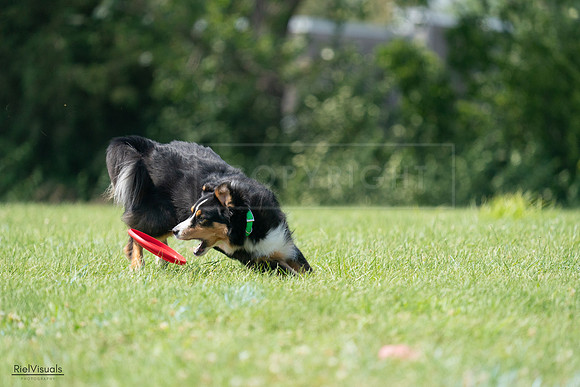 RielVisuals_20240728_142954_SJR08408