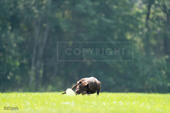 RielVisuals_20240727_123405_SJR05899
