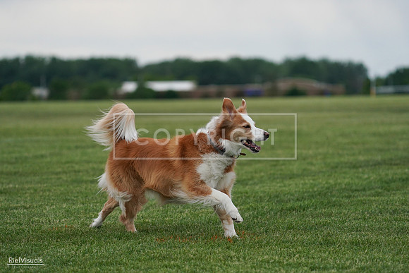 RielVisuals_20240525_170858_SJR06271