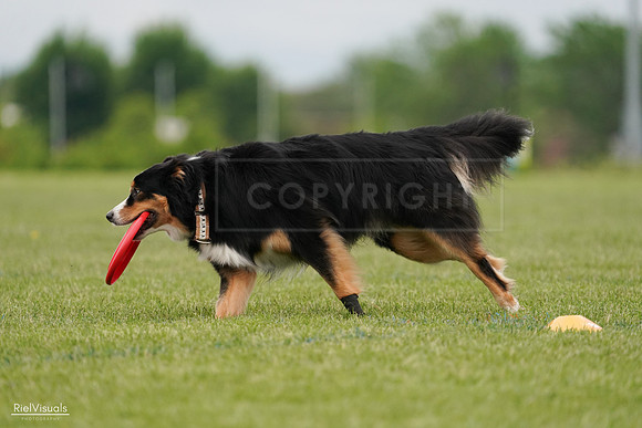 RielVisuals_20240526_135311_SJR09441