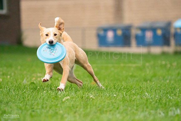 RielVisuals_20240722_200951_SJR03131