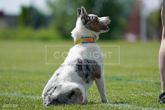 RielVisuals_20240525_121447_SJR09120