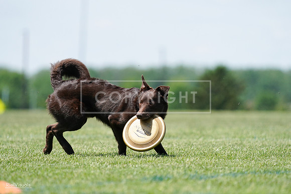 RielVisuals_20240525_120805_SJR08766