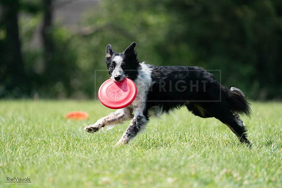 RielVisuals_20240728_145611_SJR09604