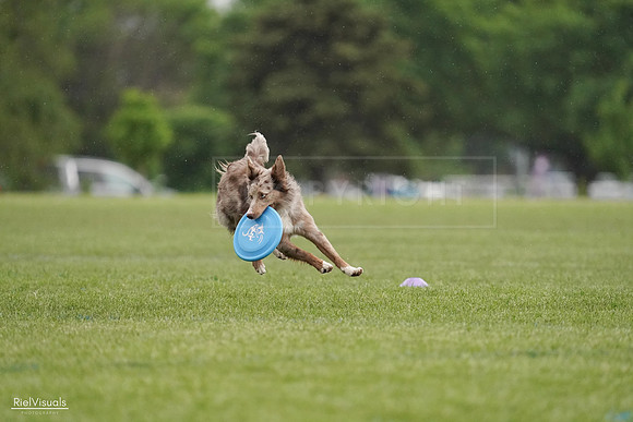 RielVisuals_20240526_092613_SJR00023