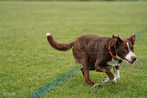 RielVisuals_20240526_131255_SJR07157
