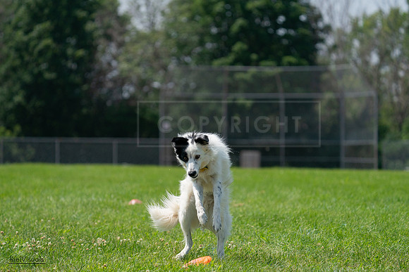 RielVisuals_20240728_121842_SJR03584