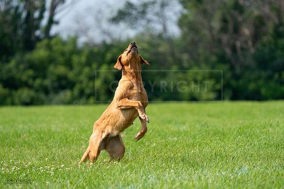 RielVisuals_20240728_104009_SJR08824