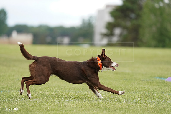 RielVisuals_20240527_140256_SJR01266