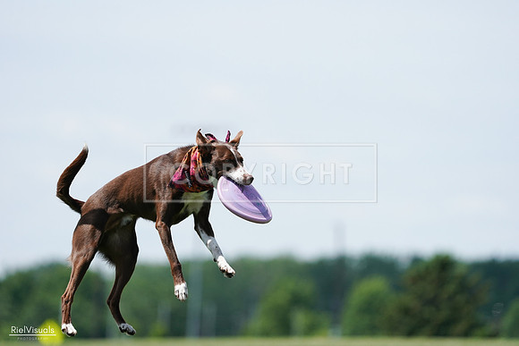 RielVisuals_20240525_121957_SJR09535