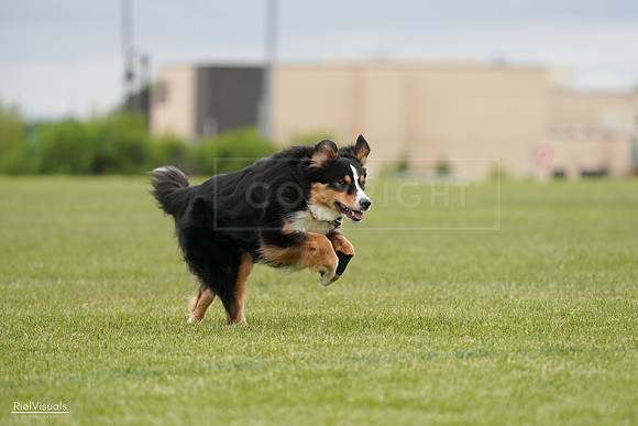 RielVisuals_20240526_135319_SJR09470
