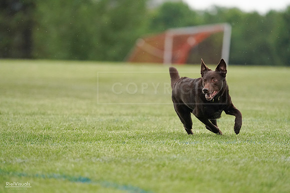 RielVisuals_20240526_091058_SJR09413
