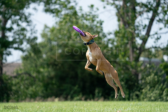 RielVisuals_20240728_142717_SJR08304
