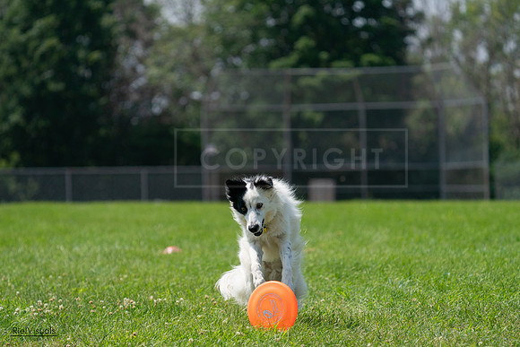 RielVisuals_20240728_121842_SJR03585