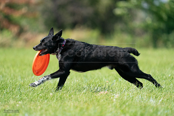 RielVisuals_20240728_115604_SJR02492