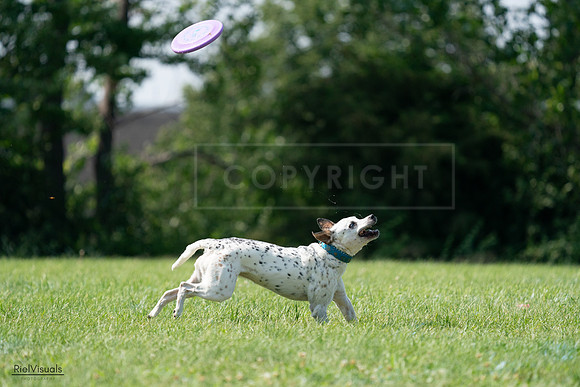 RielVisuals_20240728_151606_SJR00461