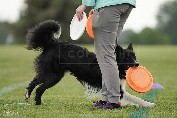 RielVisuals_20240526_095421_SJR01307
