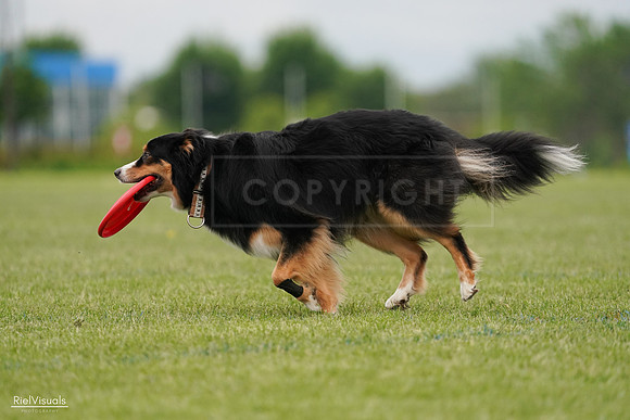 RielVisuals_20240526_135311_SJR09443